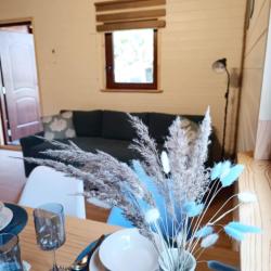 noclegi Sztutowo Domek na doby klimatyzacja, jacuzzi, parking Sztutowo