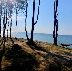 noclegi Poddąbie Domy na Klifie - Forest & Sea