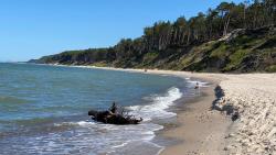 noclegi Poddąbie Domy na Klifie - Forest & Sea