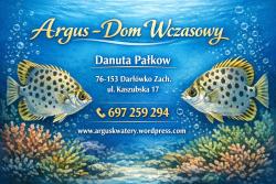 noclegi Darłowo i Darłówko ARGUS -Dom Wypoczynkowy