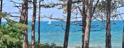 noclegi Pogorzelica Pine & Sun Apartment - Hevenia Pogorzelica
