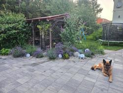 noclegi Ustronie Morskie Willa Dilla