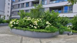 noclegi Gdynia Apartament Morza Szum - Plac Unii- Parking