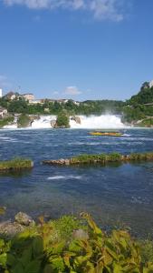 Fewo Near Rheinfall