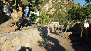 Punta Speranza img32