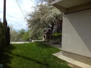 غرين غاردن سراييفو - Turbe