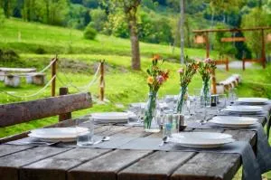 Rancho Panderoza - 杜什尼基-兹德鲁伊