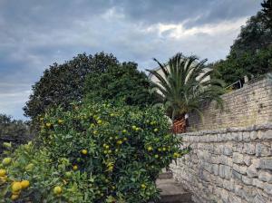 Villa Nostra - Kruče