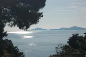 Maria Studios - Patitiri