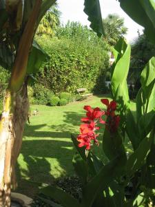 Maisons d'hotes Cote jardin : photos des chambres