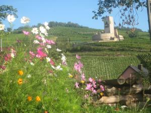 Maisons de vacances Ecologis du Vignoble : photos des chambres