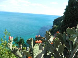 Il Nido del Gabbiano