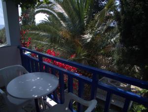 Hotel Sofia Samos Greece