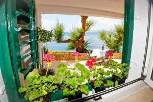 Studio Apartman Papić - Drasnice