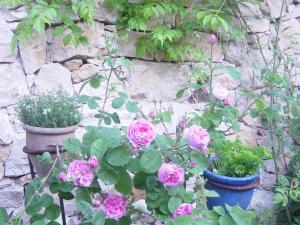 Maisons de vacances Ecologis du Vignoble : photos des chambres