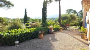 B&B / Chambres d'hotes Bastide Perassee : photos des chambres