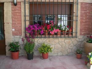 Alojamiento Rural Sierra Luz