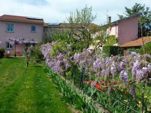 gîte Rose-Thé photo 15