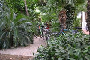 RELAX AL MARE - Spiaggia, bici e barbecue!