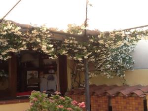 Guesthouse Nuvole img36