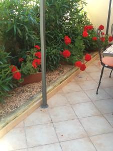 Guesthouse Nuvole img33