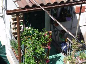 Terrazza dei Principi