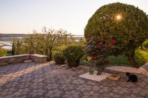 Apartment Stella Portoroz