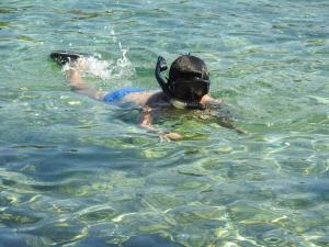 Apartment Villa Green Court