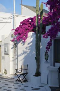 White and Grey Chora Myconos Greece