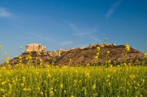 Neemranas - Tijara Fort Palace