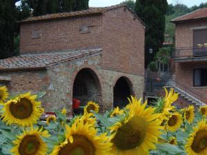 Podere La Capacciola