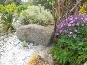 Maisons d'hotes Chambres d'Hotes Le Nid d'Iroise : photos des chambres