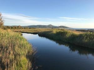 Camping Ermosa img60