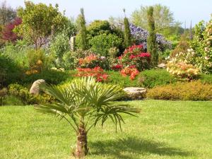 Maisons d'hotes Chambres d'Hotes Le Nid d'Iroise : photos des chambres