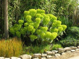 Maisons d'hotes Chambres d'Hotes Le Nid d'Iroise : photos des chambres