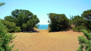 Beach Front Villa Rhodes Seashell Rhodes Greece