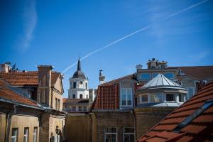 Cathedral Sq. Apartment - Odminiu Str.