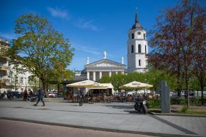 Cathedral Sq. Apartment - Odminiu Str.