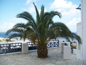 Aegean View Hotel Santorini Greece