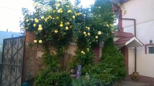 Hostel Mnogoborets F. Klub