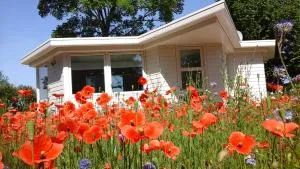 Het Findament Tiny house - Hollandsche Rading