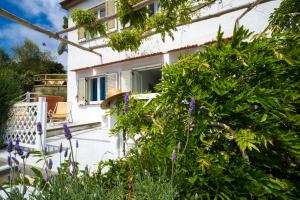 Superior Double Room with Sea View room in Agriturismo Fattoria Terranova