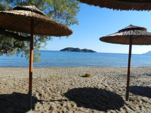 Turtle's nest Zakynthos Greece