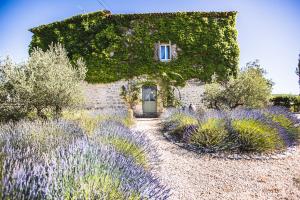 B&B / Chambres d'hotes La Flor Azul : photos des chambres