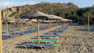 Flamingo Apartments Lasithi Greece