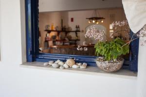 7 Islands Spetses Greece