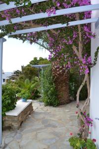 Ioanna Studios Tinos Greece