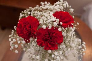 Apartment Danijela I