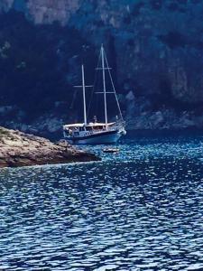 Villa Iris Apartments