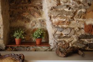 Hotels Bastide Avellanne : photos des chambres